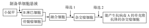 2020年安徽高考理综试题及答案解析