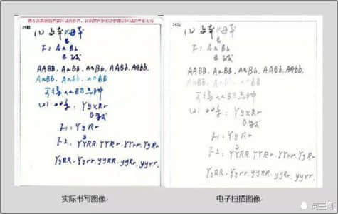 来自一位高考阅卷老师的吐槽