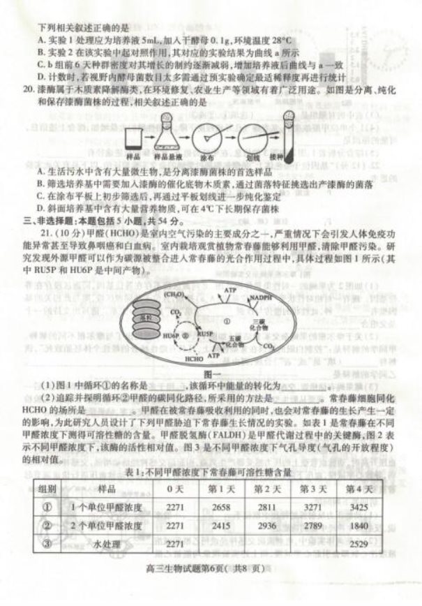 2020届山东省高三生物5月