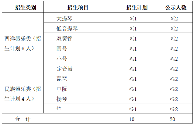 2021年中南大学高水平艺术团招生简章