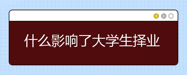 什么影响了大学生择业