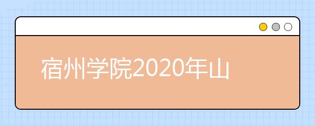 宿州学院2020年山东省书法学专业招生联考开始报名