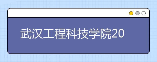 武汉工程科技学院2020年省外艺术类专业校考公告