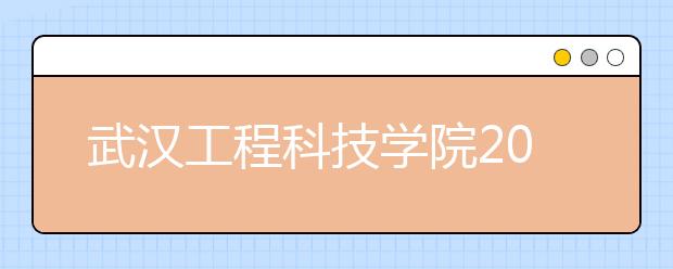 武汉工程科技学院2019年广东省艺术类专业校考公告