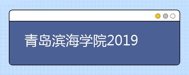 青岛滨海学院2019年美术类专业录取分数线