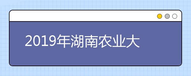 2019年湖南农业大学东方科技学院美术类本科录取线（湖南省）