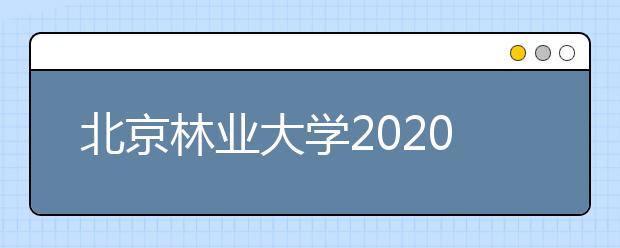 北京林业大学2020年美术类专业对英语、美术统考成绩要求
