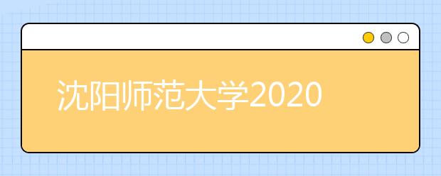 沈阳师范大学2020年艺术类专业招生简章