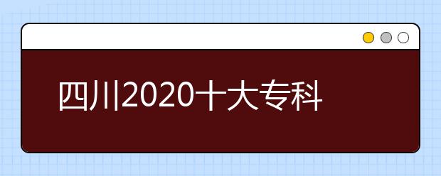 四川2020十大专科学校排名