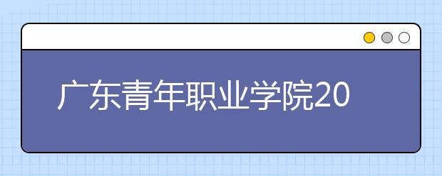 广东青年职业学院2020年夏季普通高考招生章程