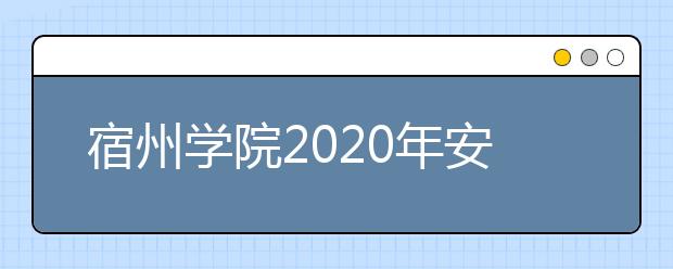 宿州学院2020年安徽省高职分专业招生计划