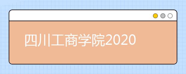 四川工商学院2020年艺术类专业招生计划