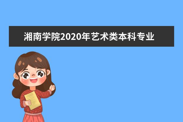 湘南学院2020年艺术类本科专业招生计划
