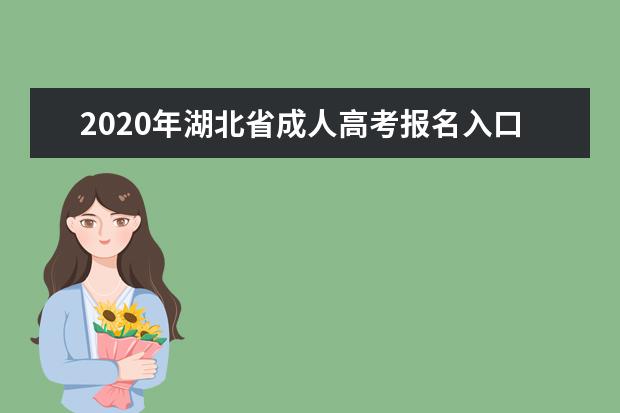 2020年湖北省成人高考报名入口