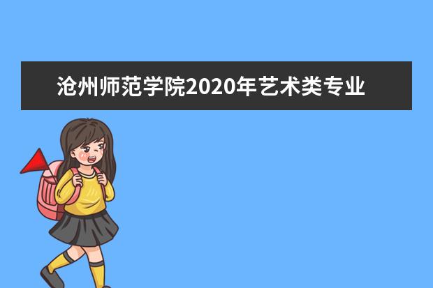 沧州师范学院2020年艺术类专业招生计划