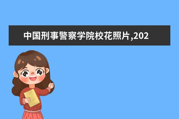 中国刑事警察学院校花照片,2021年中国刑事警察学院校花是谁(多图)