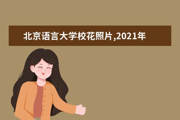 北京语言大学校花照片,2021年北京语言大学校花是谁(多图)