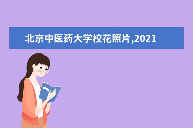 北京中医药大学校花照片,2021年北京中医药大学校花是谁(多图)