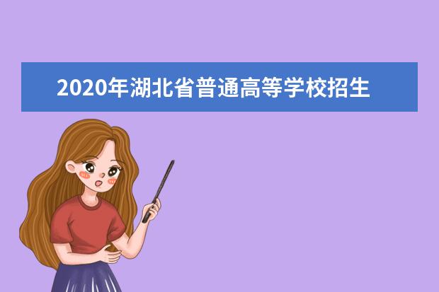2020年湖北省普通高等学校招生考试有关事项汇总