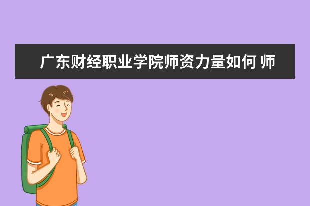 广东财经职业学院师资力量好不好 广东财经职业学院教师配备情况介绍