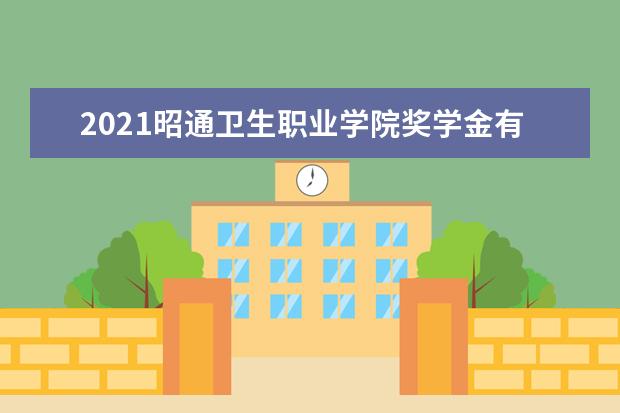 昭通卫生职业学院奖学金设置标准是什么？奖学金多少钱？