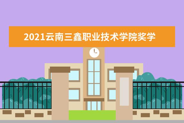 云南三鑫职业技术学院奖学金设置标准是什么？奖学金多少钱？