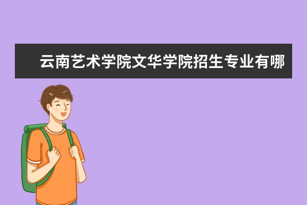 云南艺术学院文华学院奖学金设置标准是什么？奖学金多少钱？