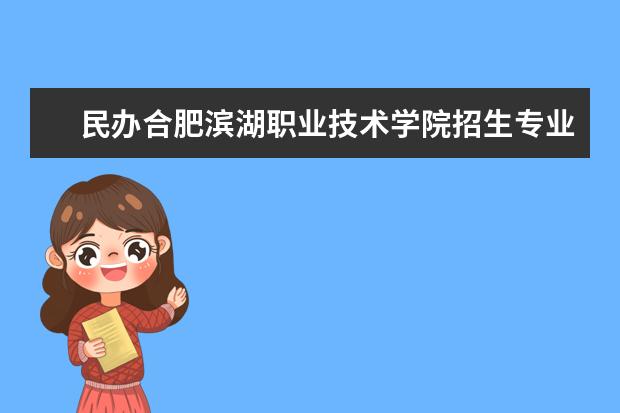 民办合肥滨湖职业技术学院奖学金设置标准是什么？奖学金多少钱？