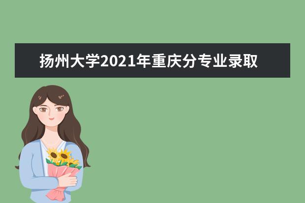 扬州大学2021年重庆分专业录取分数线