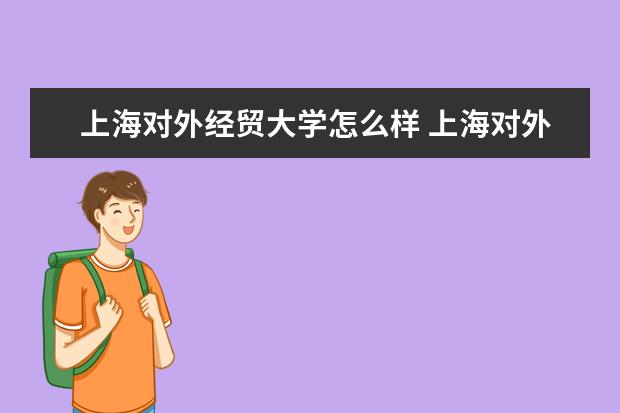 上海对外经贸大学奖学金设置标准是什么？奖学金多少钱？