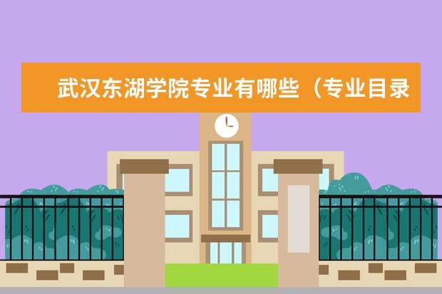 武汉东湖学院专业有哪些（专业目录一览表）