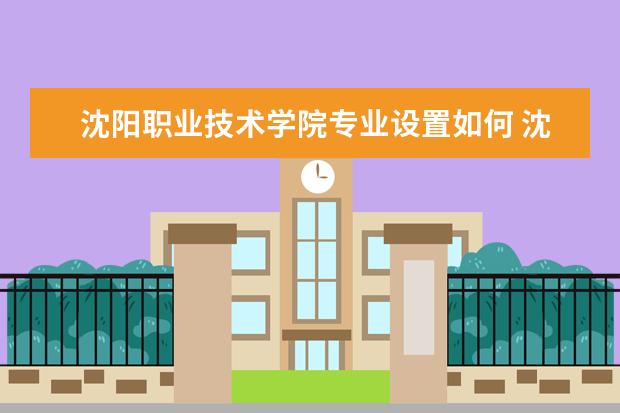 沈阳职业技术学院师资力量好不好 沈阳职业技术学院教师配备情况介绍