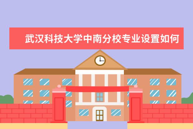 武汉科技大学中南分校有哪些院系 武汉科技大学中南分校院系分布情况