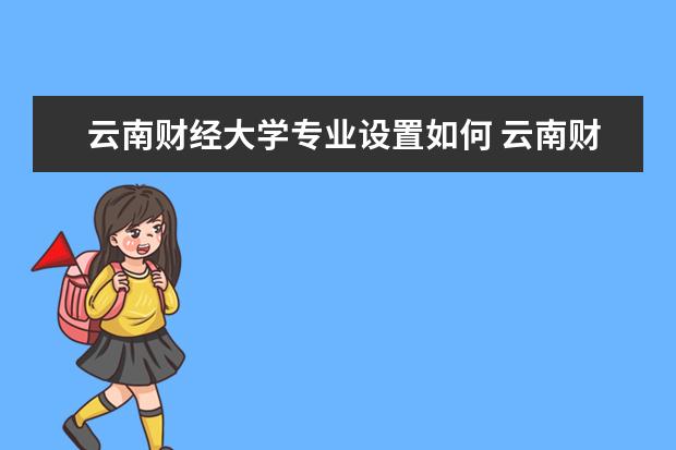 云南财经大学师资力量好不好 云南财经大学教师配备情况介绍