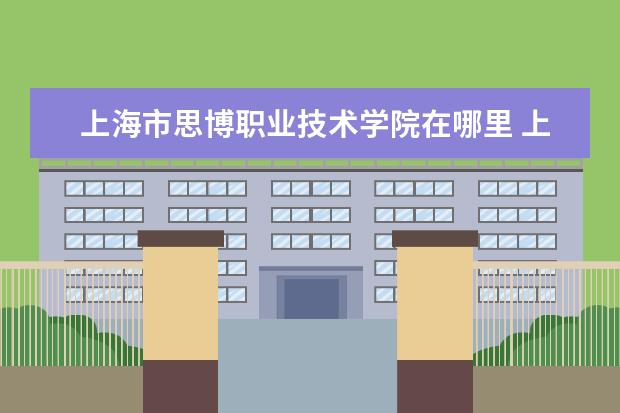 上海市思博职业技术学院在哪里 上海思博职业技术学院怎么样?要真实的。